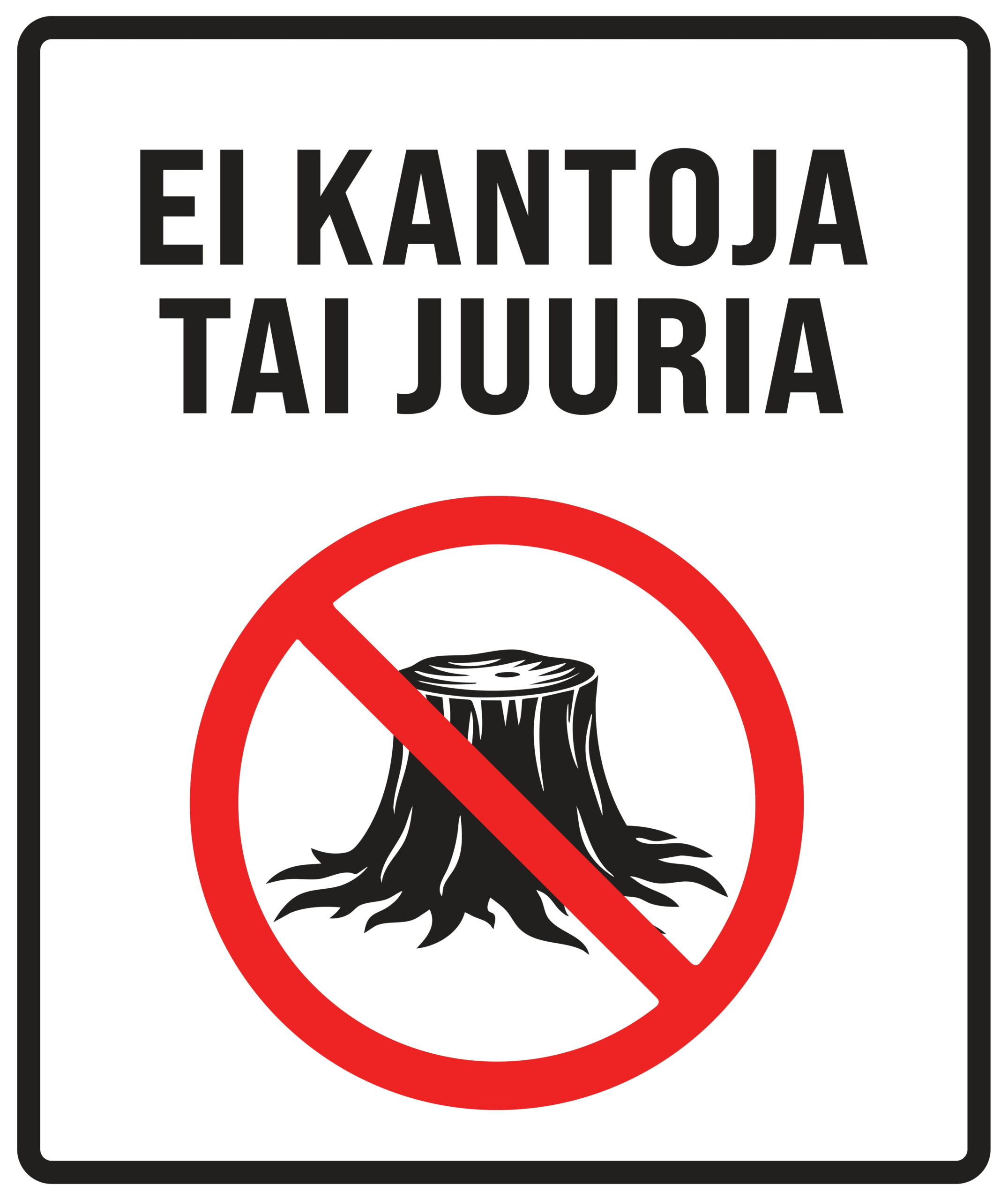 Ei kantoja tai juuria